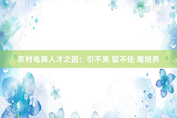 农村电商人才之困：引不来 留不住 难培养