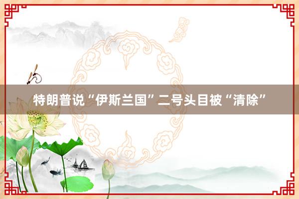 特朗普说“伊斯兰国”二号头目被“清除”