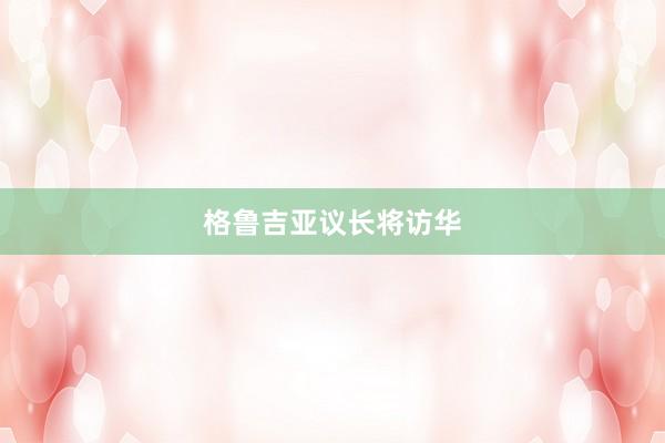 格鲁吉亚议长将访华
