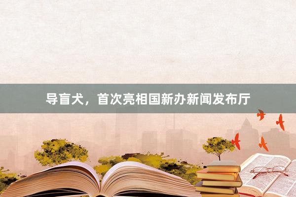 导盲犬，首次亮相国新办新闻发布厅