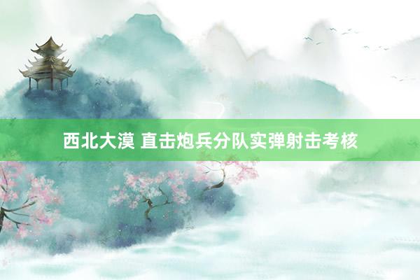 西北大漠 直击炮兵分队实弹射击考核