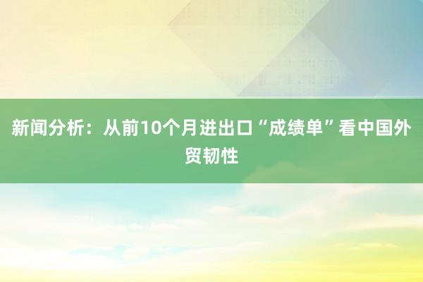 新闻分析：从前10个月进出口“成绩单”看中国外贸韧性