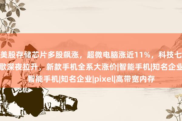 美股存储芯片多股飙涨,超微电脑涨近11%,科技七巨头集体上涨,谷歌深夜拉升,新款手机全系大涨价|智能手机|知名企业|pixel|高带宽内存