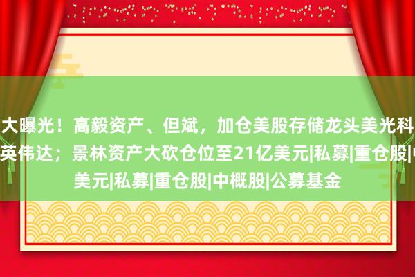 大曝光！高毅资产、但斌，加仓美股存储龙头美光科技、闪迪，减仓英伟达；景林资产大砍仓位至21亿美元|私募|重仓股|中概股|公募基金
