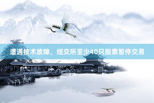 遭遇技术故障，纽交所至少40只股票暂停交易