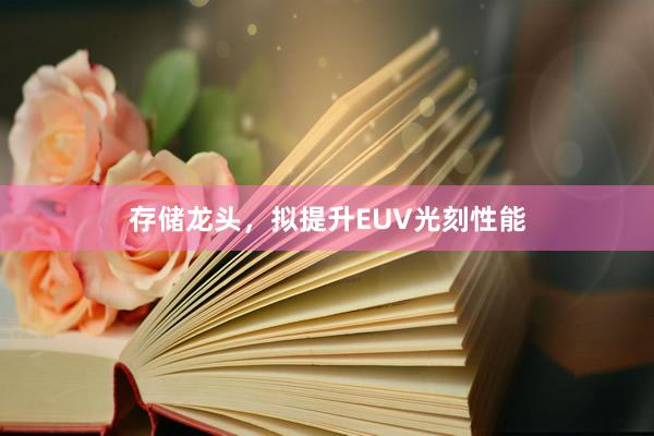 存储龙头，拟提升EUV光刻性能