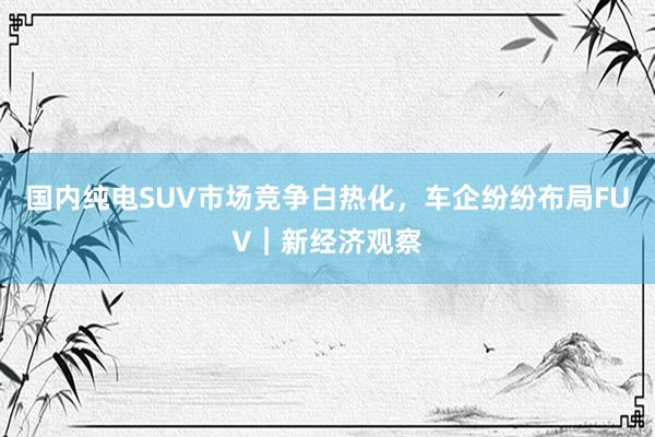 国内纯电SUV市场竞争白热化，车企纷纷布局FUV｜新经济观察