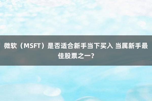 微软（MSFT）是否适合新手当下买入 当属新手最佳股票之一？