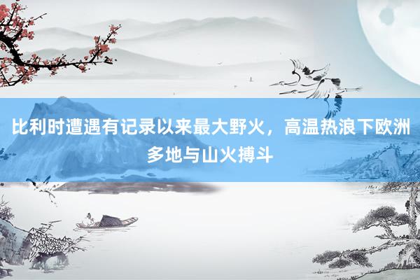 比利时遭遇有记录以来最大野火,高温热浪下欧洲多地与山火搏斗