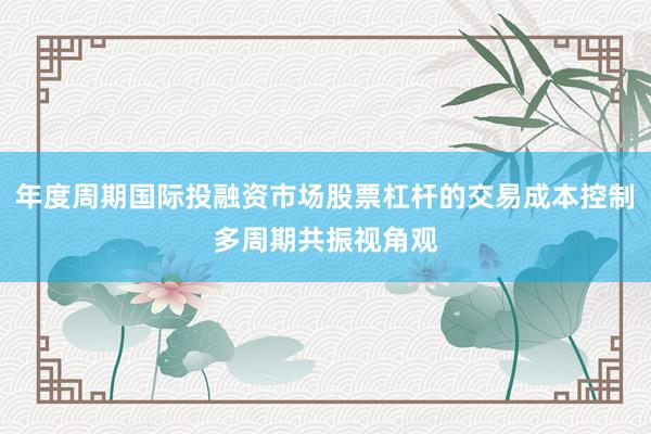 年度周期国际投融资市场股票杠杆的交易成本控制多周期共振视角观