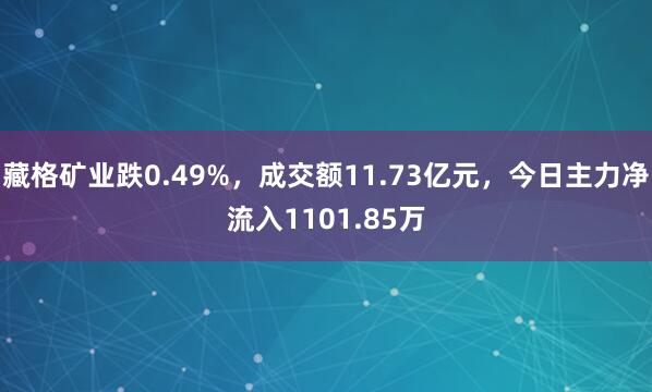 藏格矿业跌0.49%，成交额11.73亿元，今日主力净流入1101.85万
