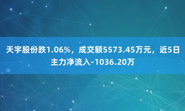 天宇股份跌1.06%，成交额5573.45万元，近5日主力净流入-1036.20万