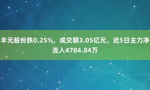丰元股份跌0.25%,成交额3.05亿元,近5日主力净流入4784.84万