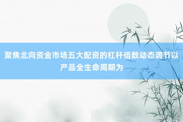 聚焦北向资金市场五大配资的杠杆倍数动态调节以产品全生命周期为