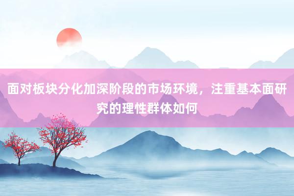 面对板块分化加深阶段的市场环境，注重基本面研究的理性群体如何