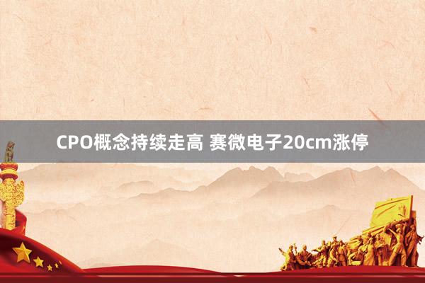 CPO概念持续走高 赛微电子20cm涨停
