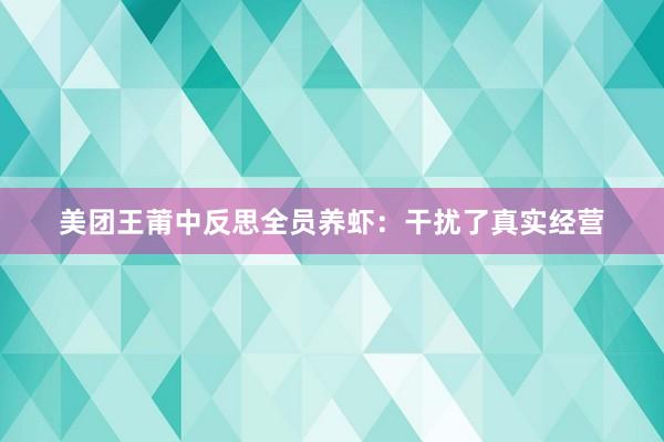 美团王莆中反思全员养虾：干扰了真实经营