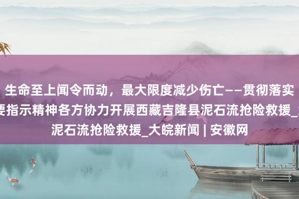 生命至上闻令而动，最大限度减少伤亡——贯彻落实习近平总书记重要指示精神各方协力开展西藏吉隆县泥石流抢险救援_大皖新闻 | 安徽网