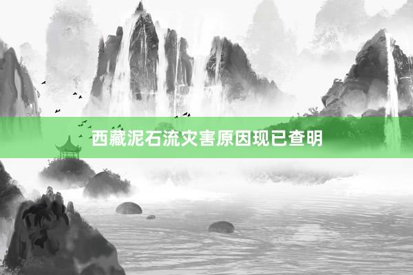 西藏泥石流灾害原因现已查明