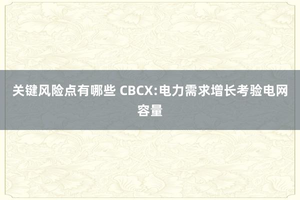 关键风险点有哪些 CBCX:电力需求增长考验电网容量