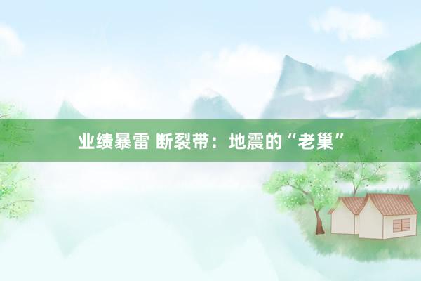 业绩暴雷 断裂带：地震的“老巢”