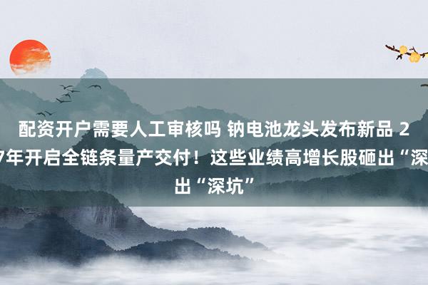 配资开户需要人工审核吗 钠电池龙头发布新品 2027年开启全链条量产交付！这些业绩高增长股砸出“深坑”