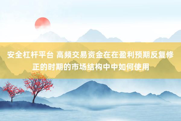 安全杠杆平台 高频交易资金在在盈利预期反复修正的时期的市场结构中中如何使用