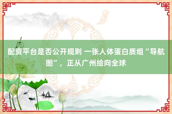 配资平台是否公开规则 一张人体蛋白质组“导航图”，正从广州绘向全球