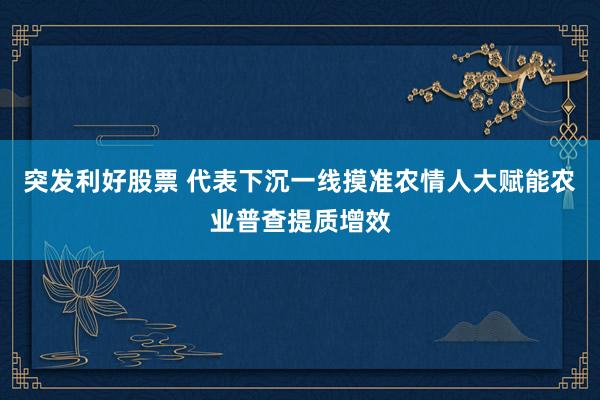 突发利好股票 代表下沉一线摸准农情人大赋能农业普查提质增效