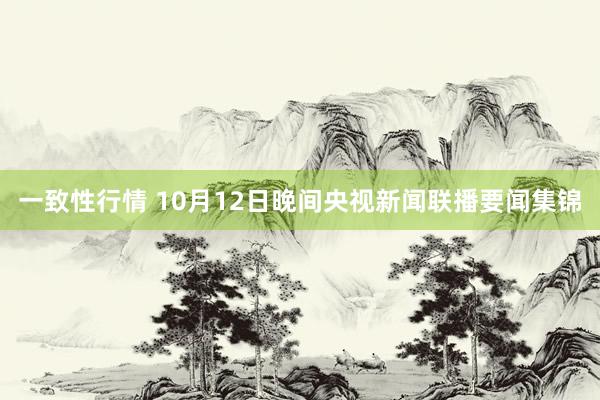 一致性行情 10月12日晚间央视新闻联播要闻集锦