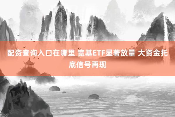 配资查询入口在哪里 宽基ETF显著放量 大资金托底信号再现