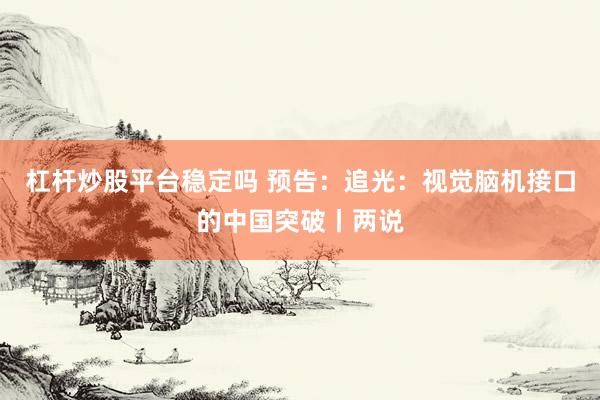杠杆炒股平台稳定吗 预告：追光：视觉脑机接口的中国突破丨两说
