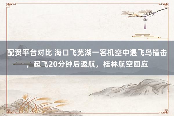 配资平台对比 海口飞芜湖一客机空中遇飞鸟撞击，起飞20分钟后返航，桂林航空回应